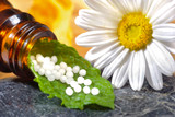 Homeopathic Miasms