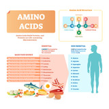 Amino Acids Comprehensive Frequencies