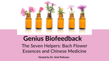 The Seven Helpers: Bach Flower Essences and Chinese Medicine 