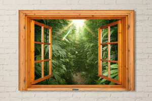 Window View Weed Bush Window View Weed Bush