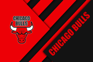 CHICAGO BULLS CHICAGO BULLS