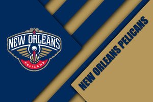 NEW ORLEANS PELICANS NEW ORLEANS PELICANS