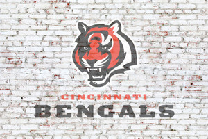 Cincinnati Bengals on brick wall Cincinnati Bengals on brick wall