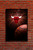 CHICAGO BULLS black