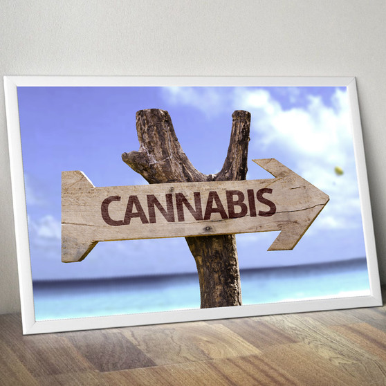 CANNABIS DIRECTION