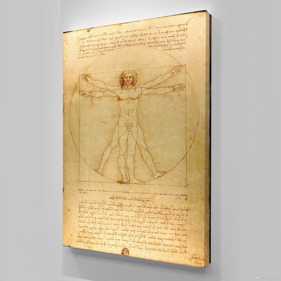 Vitruvian Man by Leonardo Da Vinci