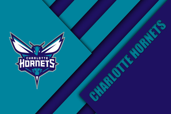 CHARLOTTE HORNETS