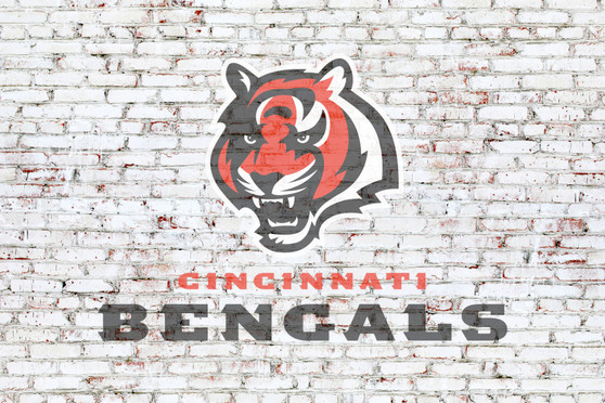 Cincinnati Bengals on brick wall