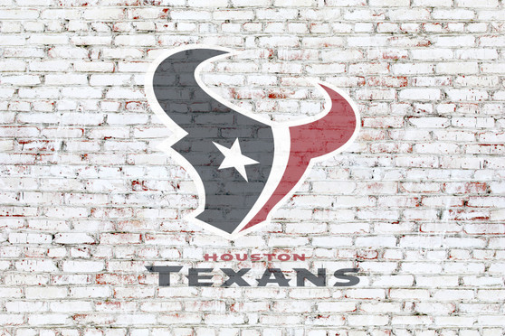 Houston Texans on brick wall