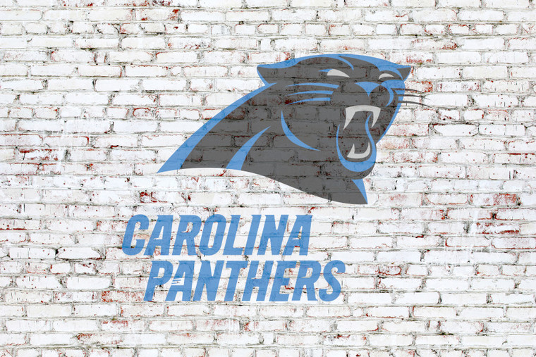 Carolina Panthers on brick wall