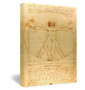 Vitruvian Man by Leonardo Da Vinci