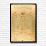 Vitruvian Man by Leonardo Da Vinci