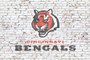 Cincinnati Bengals on brick wall