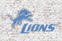 Detroit Lions on brick wall
