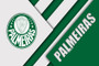 Palmeiras São Paulo Material Design