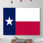 TEXAS State  Flag
