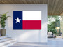 TEXAS State  Flag