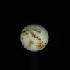 Fossil Coral Sphere #1029