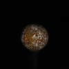 Wingate Sphere #1041