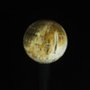 Fossil Coral Sphere #1179