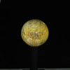 Opalized Wood #1209