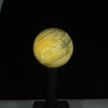 Opalized Wood #1209