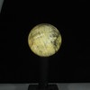 Opalized Wood #1209