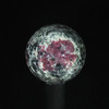 Swedish Eudialyte #1264