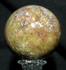 Indonesian Petrified Palm Sphere #3924