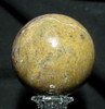 Indonesian Petrified Palm Sphere #3924
