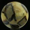 Septarian Nodule Sphere #4660