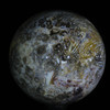 Indonesian Petrified Palm Sphere #5532