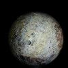 Indonesian Petrified Palm Sphere #5532