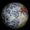 Indonesian Petrified Palm Sphere #5532