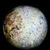 Indonesian Petrified Palm Sphere #5532
