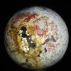 Indonesian Petrified Palm Sphere #5532