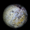 Indonesian Petrified Palm Sphere #5532