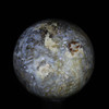 Indonesian Petrified Palm #5566