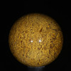Coquina Jasper Sphere # 7632