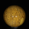 Coquina Jasper Sphere # 7632