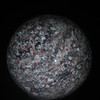 Crinoid Marble Sphere #7784