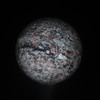 Crinoid Marble Sphere #7784