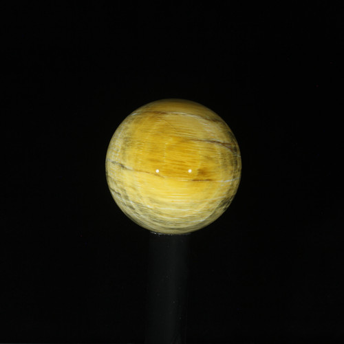 Opalized Petrified Wood #1329