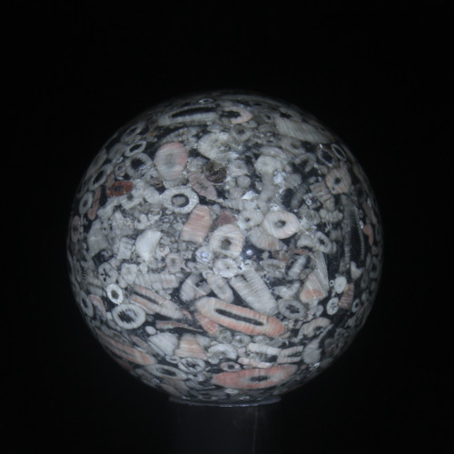 Crinoid Marble Sphere #7767