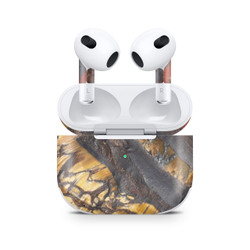 Tiger Iron
Gemstone & Crystal
Apple AirPods Pro Skins