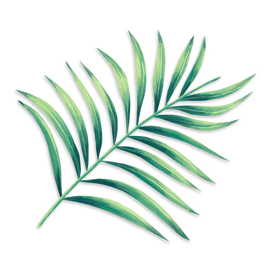 Areca Palm Leaf Decal Sticker