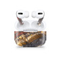 Tiger Iron
Gemstone & Crystal
Apple AirPods Pro Skins