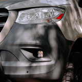 Fog Pocket Light Kit (FGXX-447874)