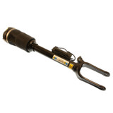 Air Spring Module (BBGL-44-146108)