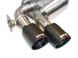 Cat-Back(tm) System (BDLS-140776CF)